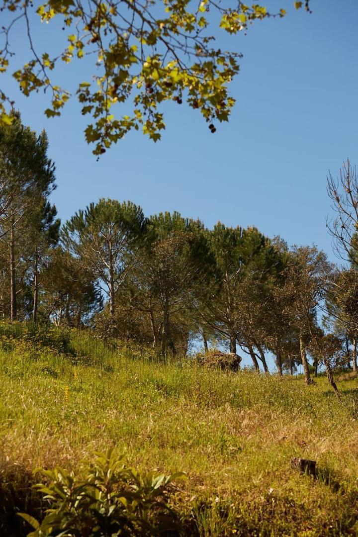 Quinta Do Marmeleiro - Casa Marmeleiro Βίλα Santiago do Cacém Εξωτερικό φωτογραφία