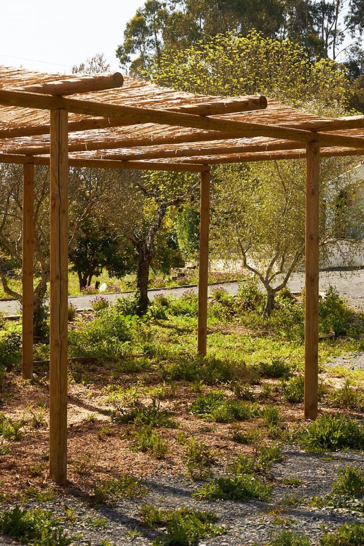 Quinta Do Marmeleiro - Casa Marmeleiro Βίλα Santiago do Cacém Εξωτερικό φωτογραφία