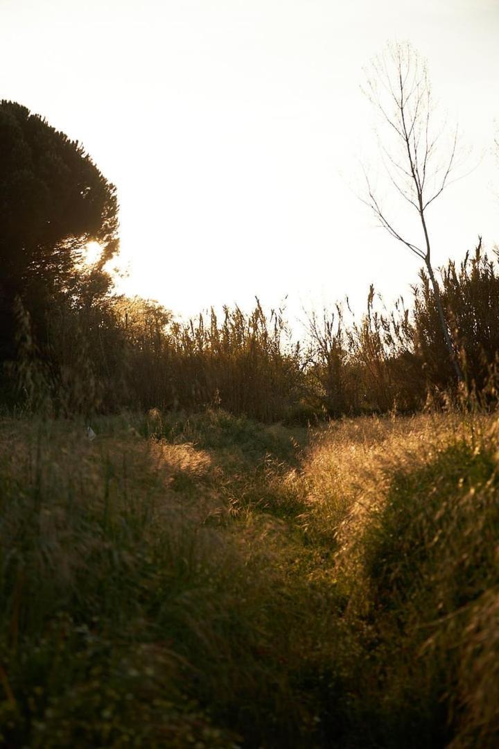Quinta Do Marmeleiro - Casa Marmeleiro Βίλα Santiago do Cacém Εξωτερικό φωτογραφία