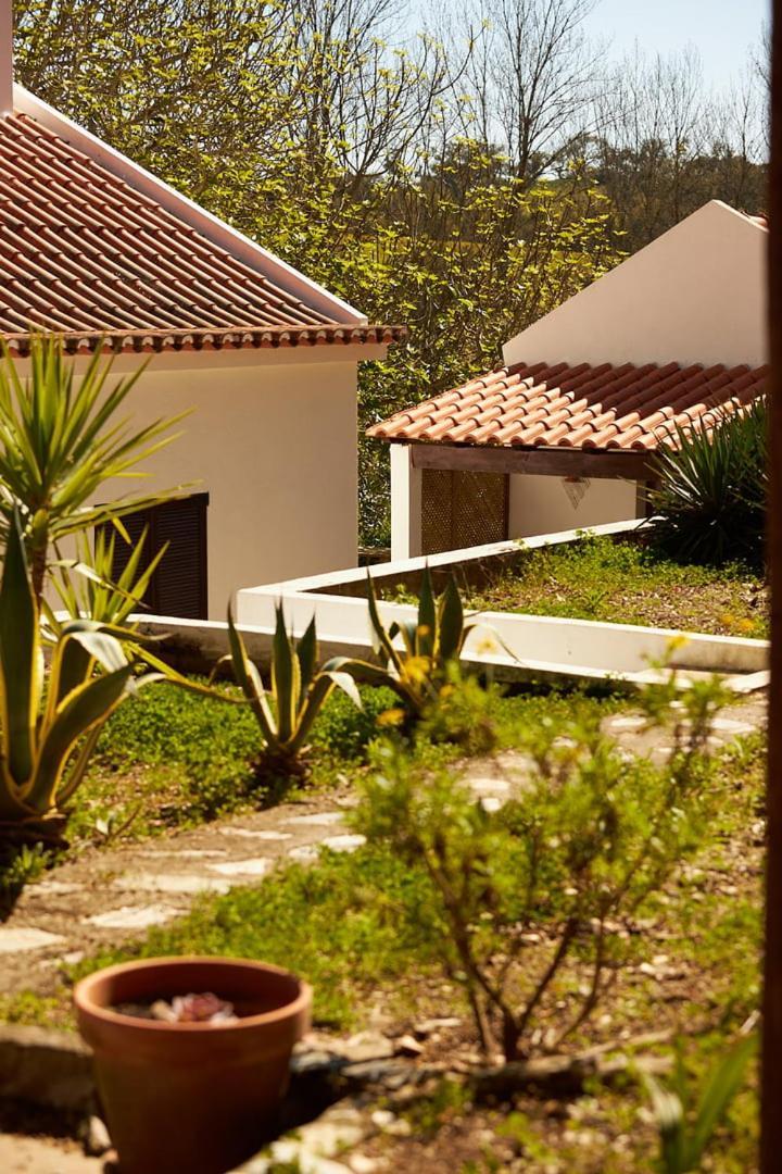 Quinta Do Marmeleiro - Casa Marmeleiro Βίλα Santiago do Cacém Εξωτερικό φωτογραφία