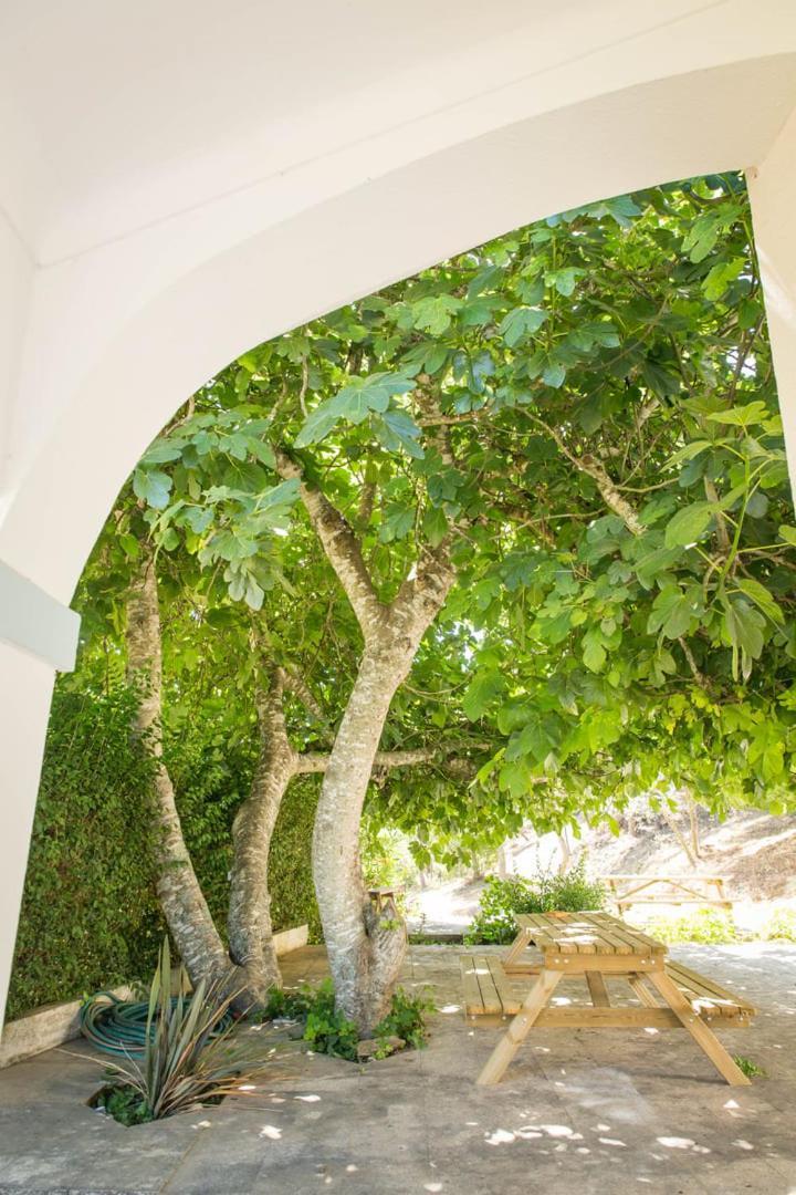 Quinta Do Marmeleiro - Casa Marmeleiro Βίλα Santiago do Cacém Εξωτερικό φωτογραφία