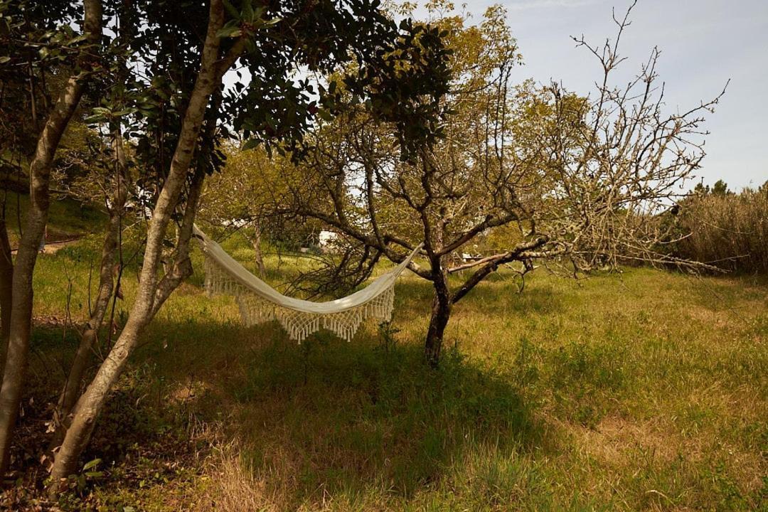 Quinta Do Marmeleiro - Casa Marmeleiro Βίλα Santiago do Cacém Εξωτερικό φωτογραφία